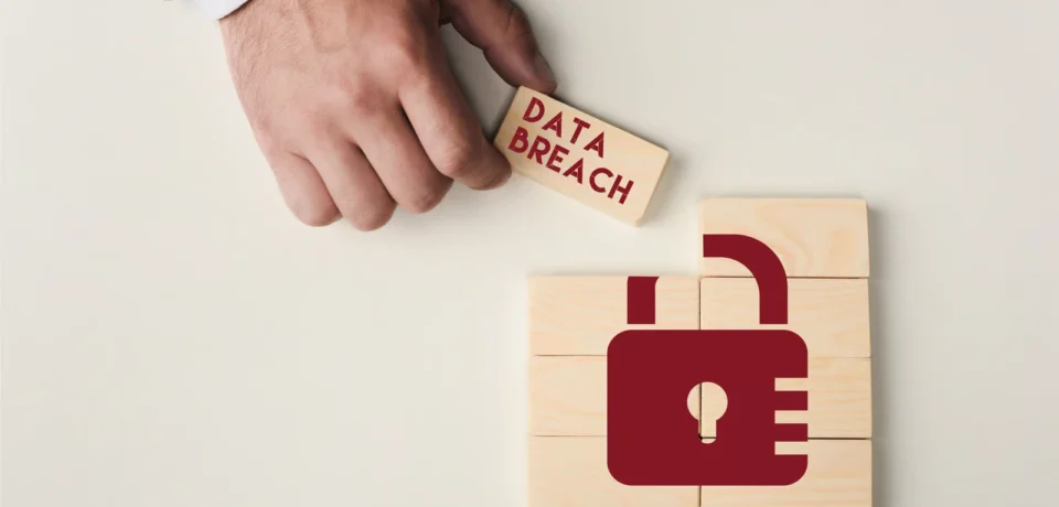 what to do after a data breach Australia - Lucid Byte